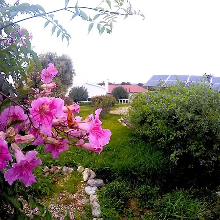 Palmela Villa * Palmela