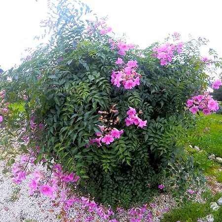 Palmela Villa Affittacamere