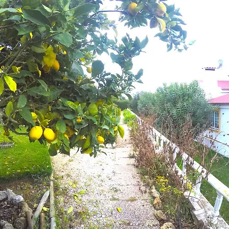 Palmela Villa *